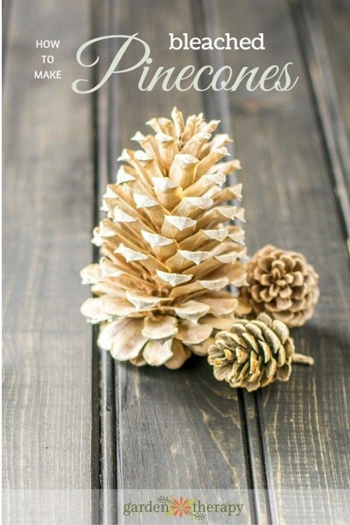 26 DIY Christmas Pine Cone Crafts For A Festive Decoration