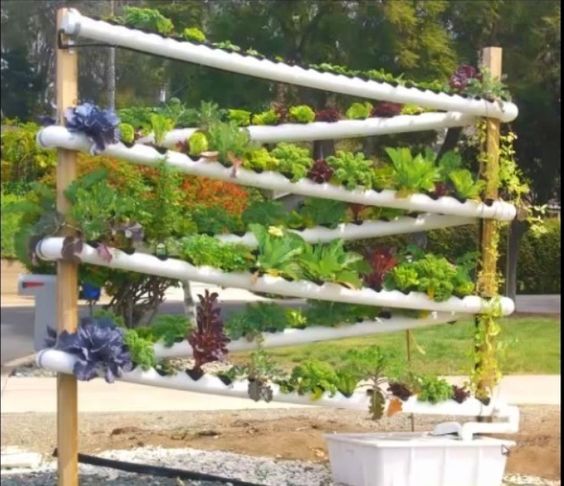 Vertical Garden Ideas That Will Spice Up Your Garden