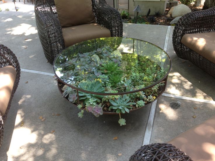 coffee table garden mini succulent tables plants mesa glass diy fascinate jardines outdoor crafthubs via uploaded gardening