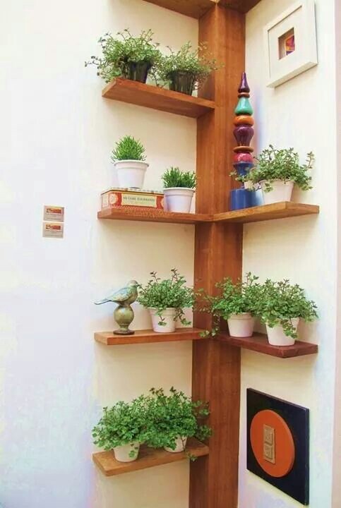 cool-corner-shelves9