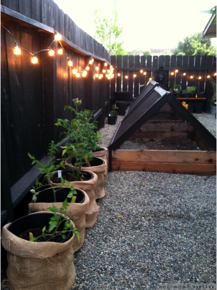Garden Fence Lighting Ideas That Will Make Your Garden Shine