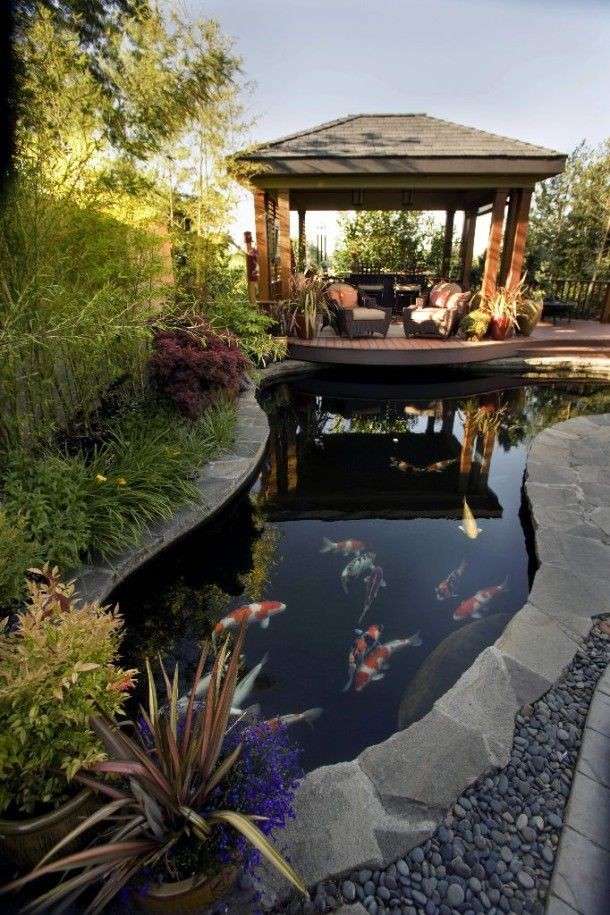 Beautiful Garden Ponds That Will Catch Your Eye