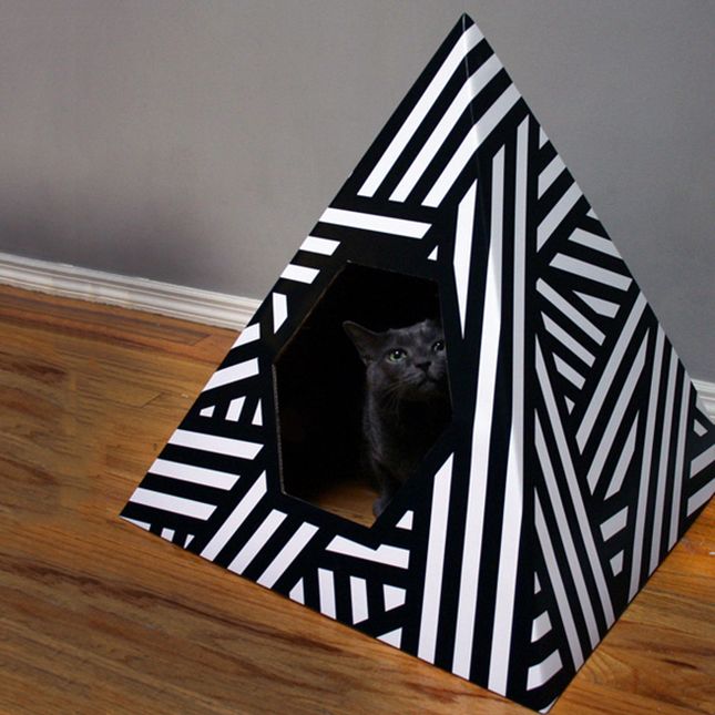 black-and-white-cat-house