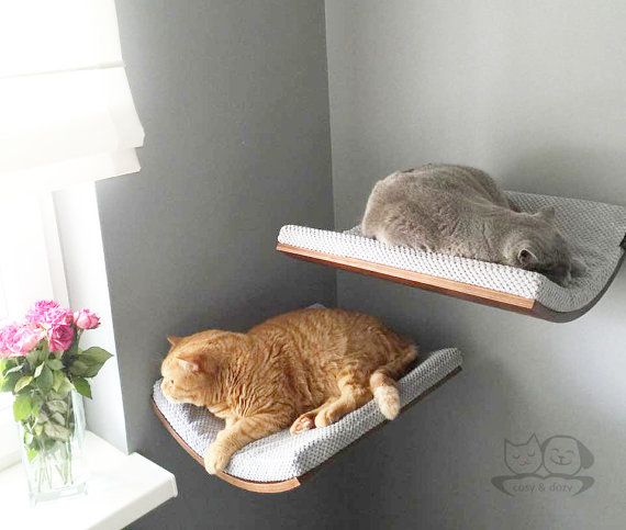 cat-beds-cool-solutions