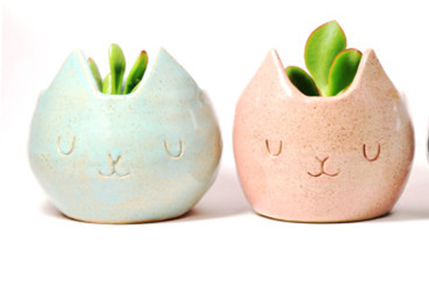 cats-flowerpots
