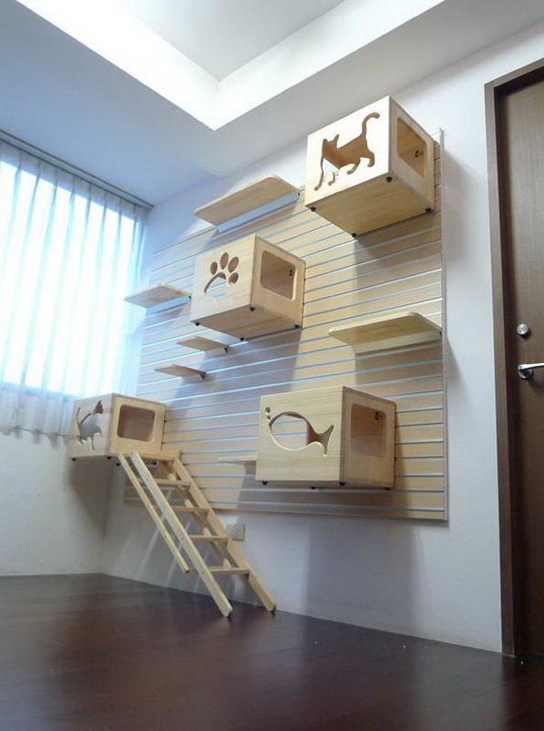 cats=climbing-wall-decor