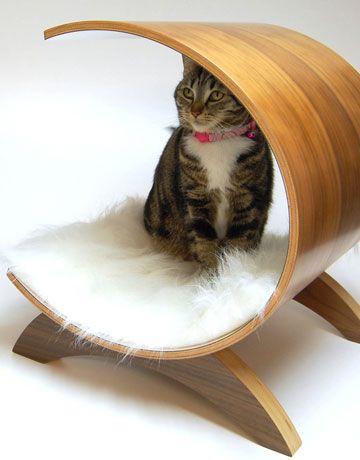 cool-cat-bed