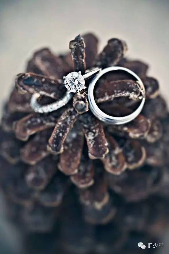 pinecone-wedding-ring-stand