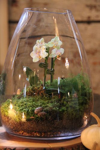 amazing-flower-terrarium