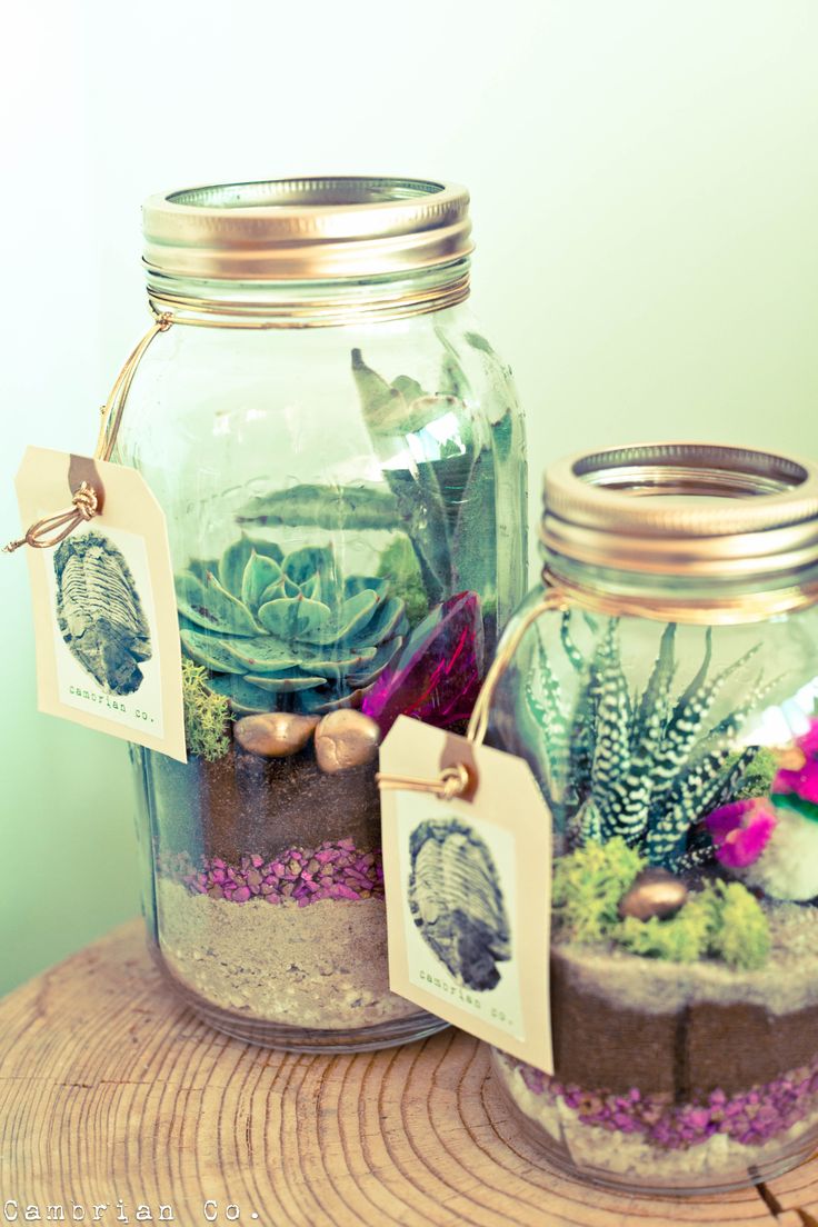 creative-mason-jars-gift-terrarium
