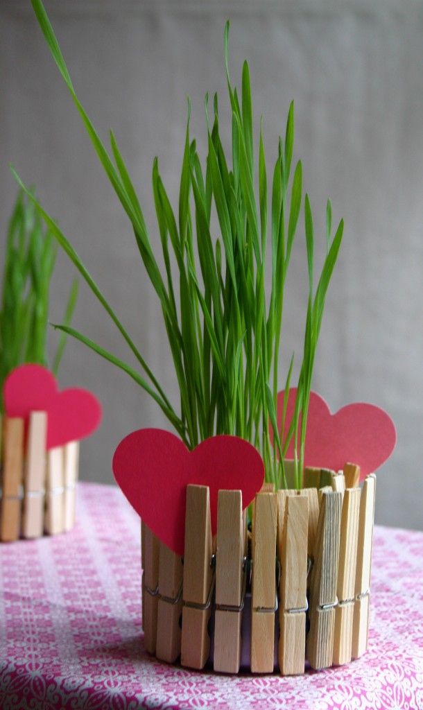 valentines-day-clothespins-flowerpot-gift