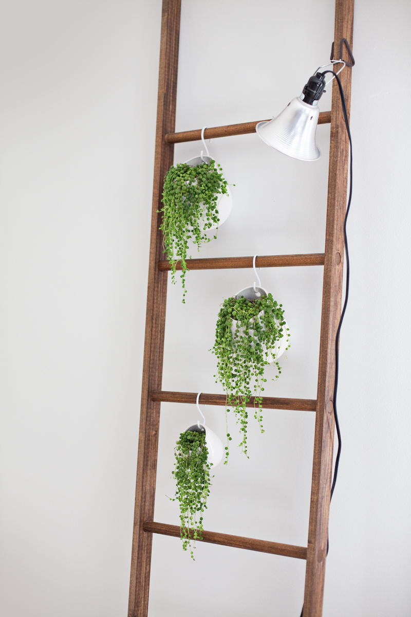 ladder-home-decor-ideas10