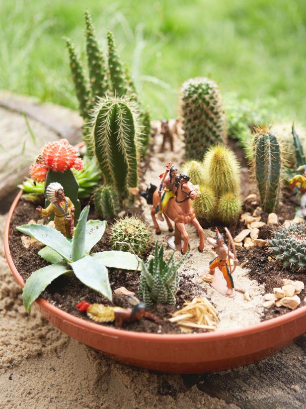 mini-cactus-garden2