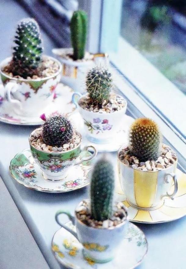 mini-cactus-garden5