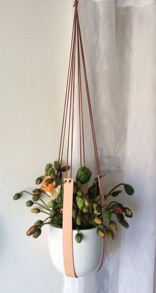 plant-hangers1