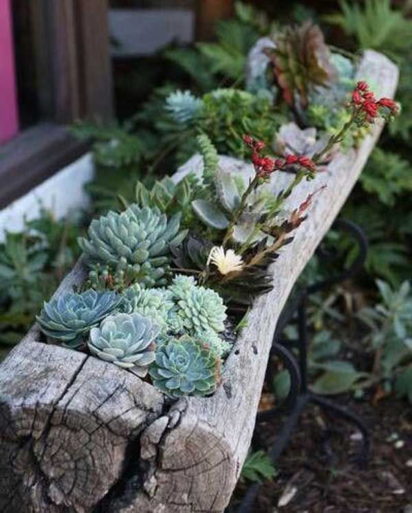 Unique Flower Planters That Will Beautify Your Garden