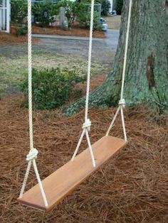 tree-swings9