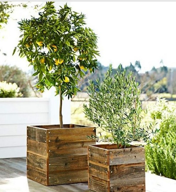 wooden-crates-for-your-garden-decor15