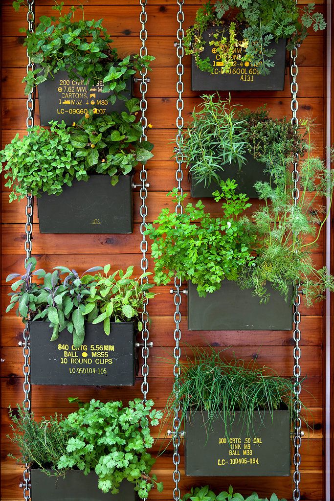 25 Amazing Vertical Gardens That Will Beautify Your Balcony