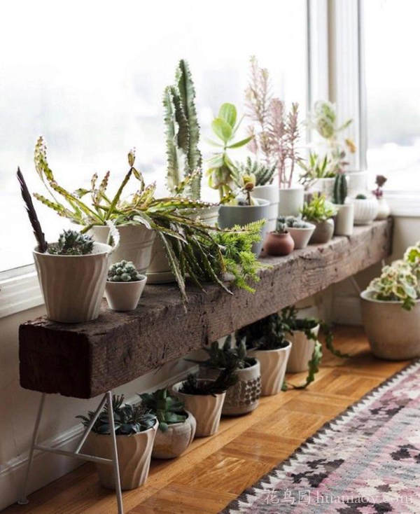 amazing-modern-planter-stands6