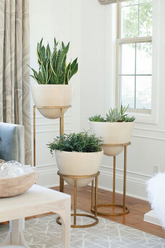 outstanding-indoor-planters1