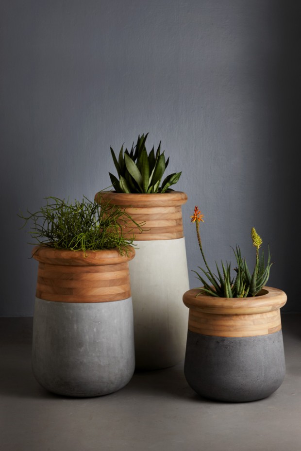 outstanding-indoor-planters15
