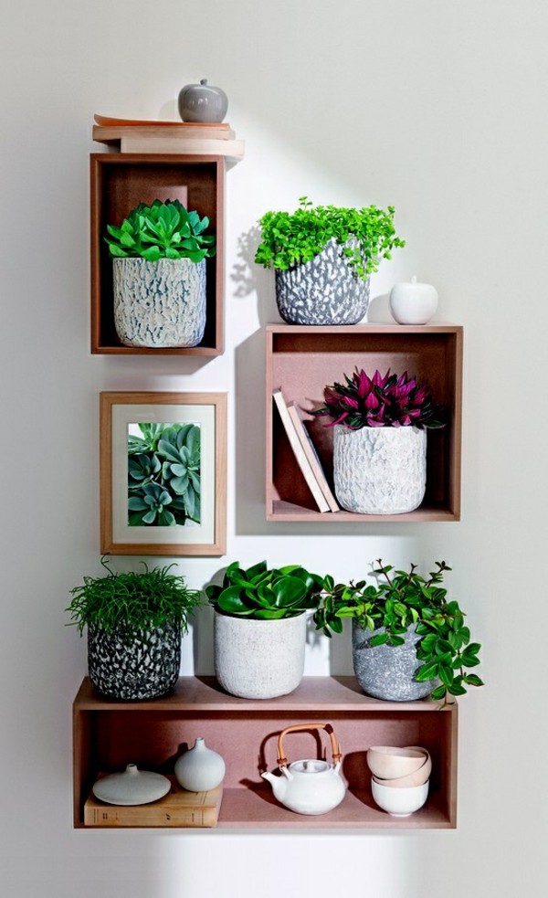 outstanding-indoor-planters4