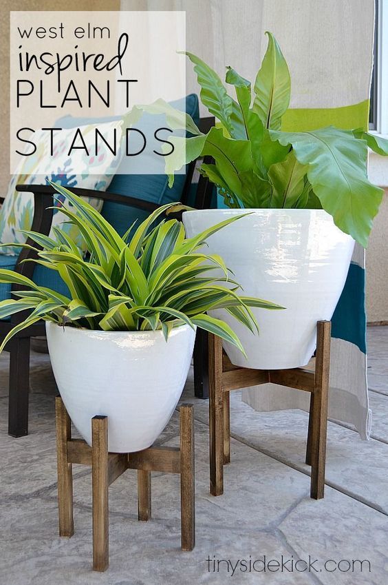 outstanding-indoor-planters7