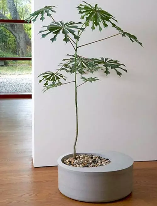 outstanding-indoor-planters8