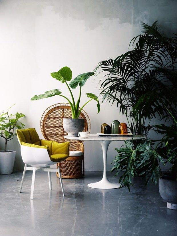 contemporary-botanical-interiors14
