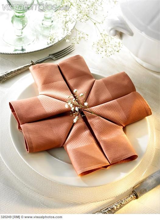 crazy-napkin-folding-that-you-will-have-to-see13