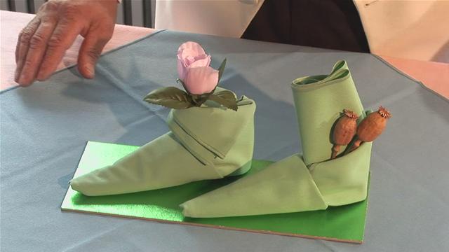 crazy-napkin-folding-that-you-will-have-to-see15