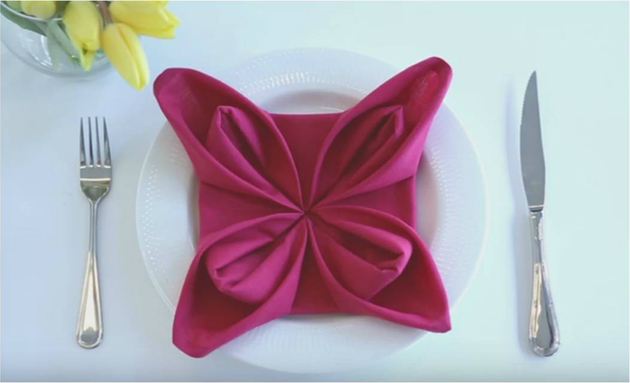 crazy-napkin-folding-that-you-will-have-to-see19