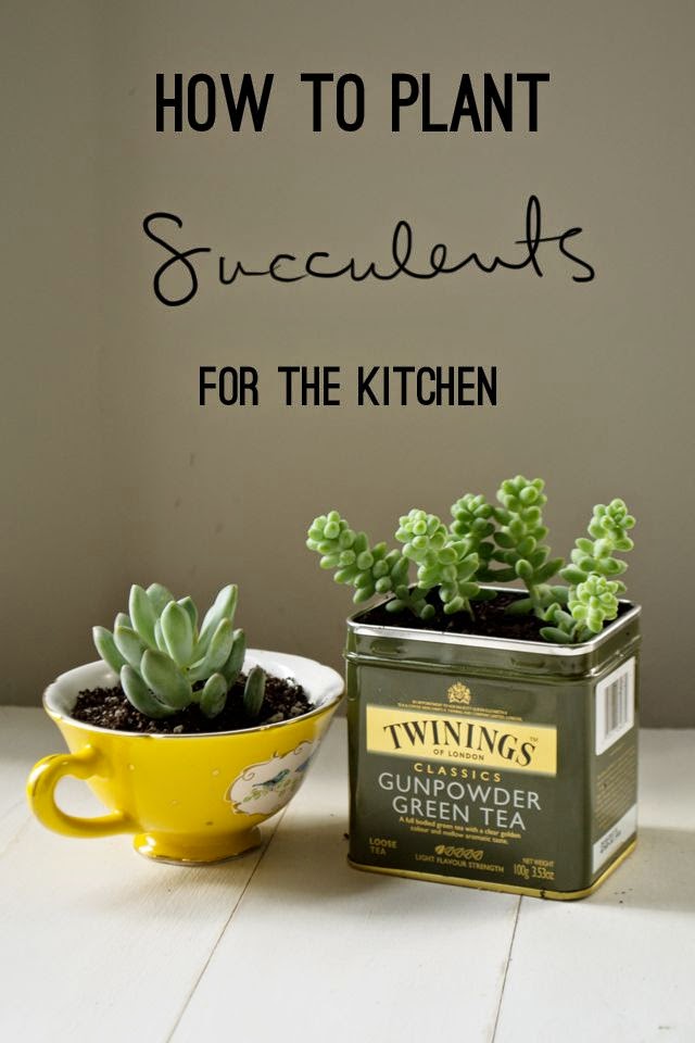 creative-succulent-planter-ideas10
