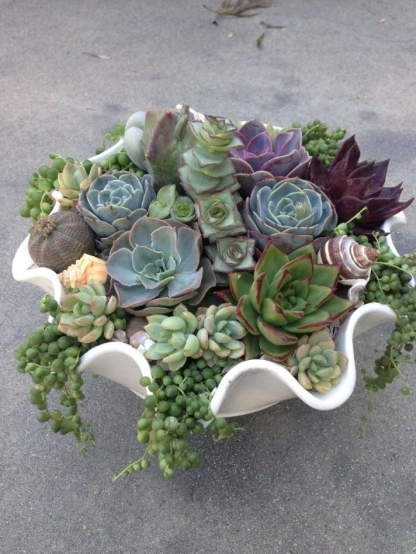 creative-succulent-planter-ideas16