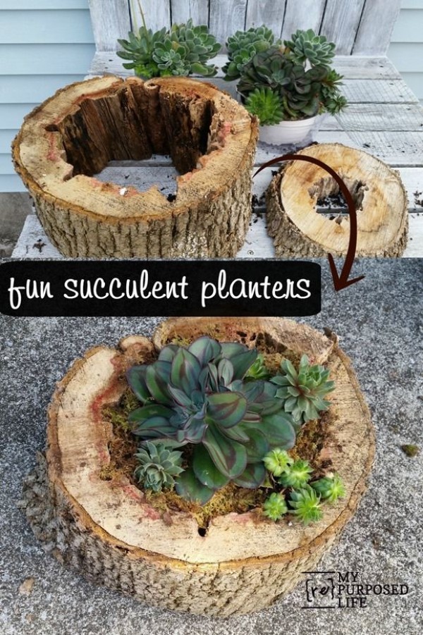 creative-succulent-planter-ideas3