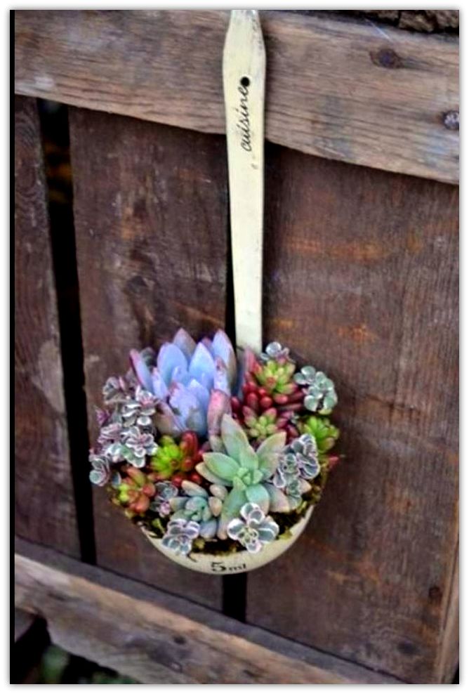 creative-succulent-planter-ideas8