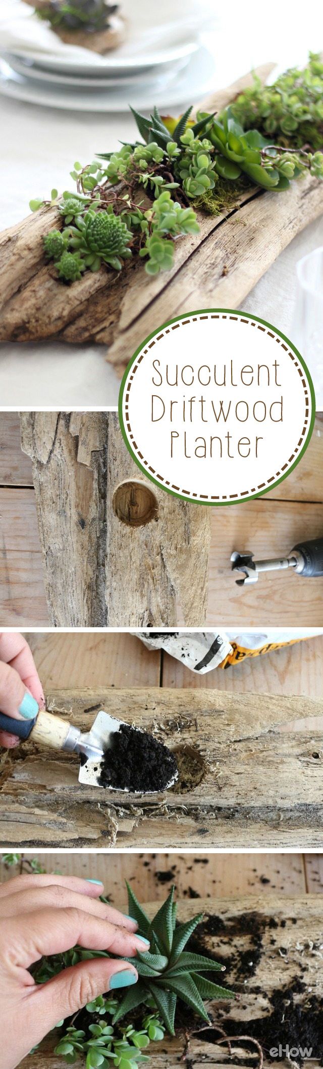 succulent-driftwood-planters1