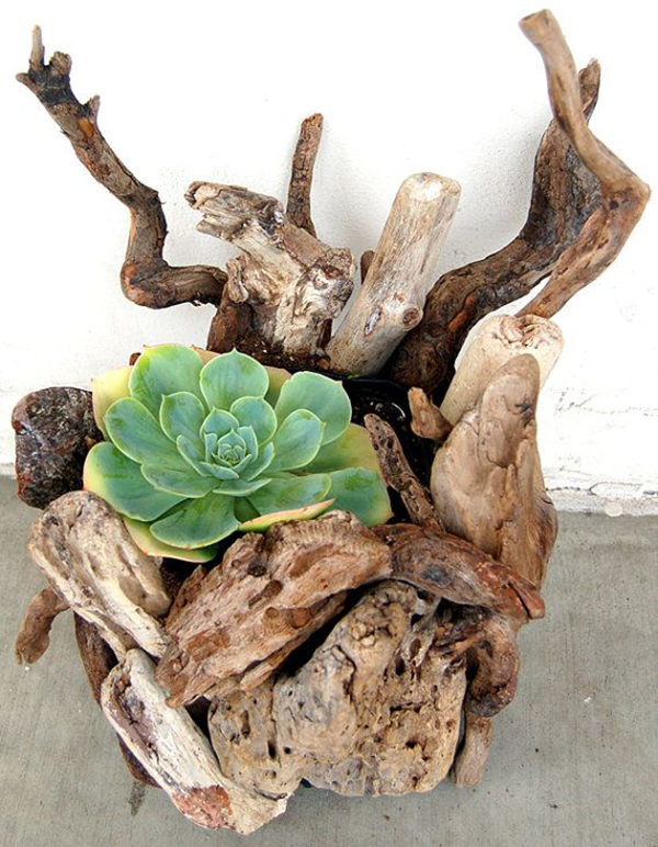 succulent-driftwood-planters4